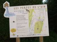 Les pertes de l'Ain